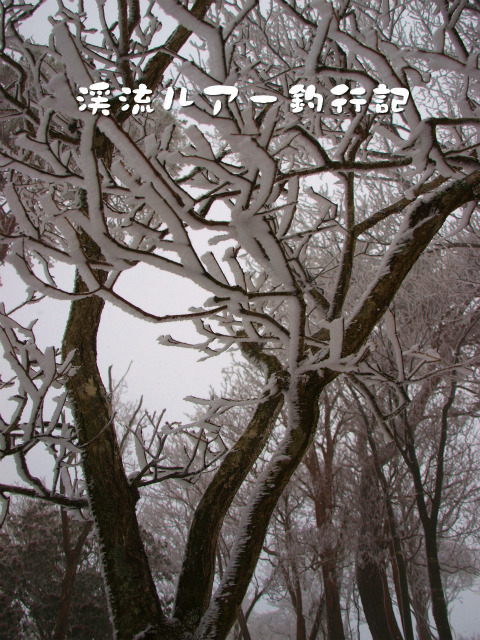 P2177913.jpg