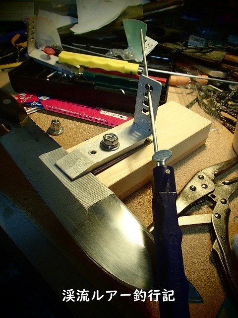 P2190061 (2).jpg