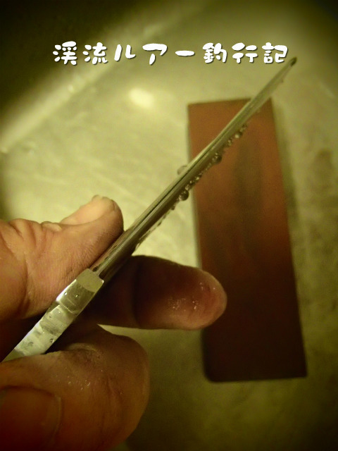 P2220002.jpg