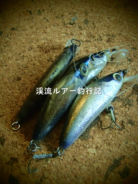 P2230001 (2).jpg