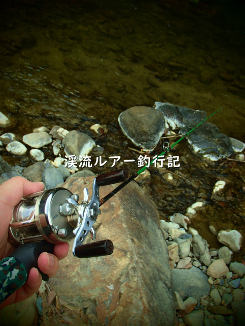 P2230020 (2).jpg