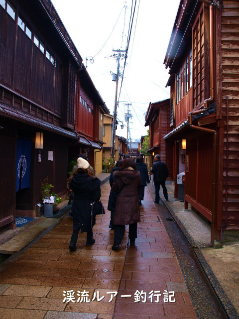 P2238363 (2).jpg