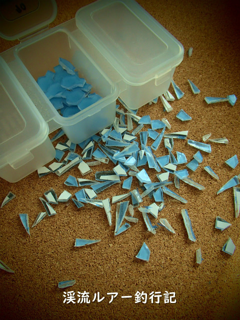 P2240005 (2).jpg