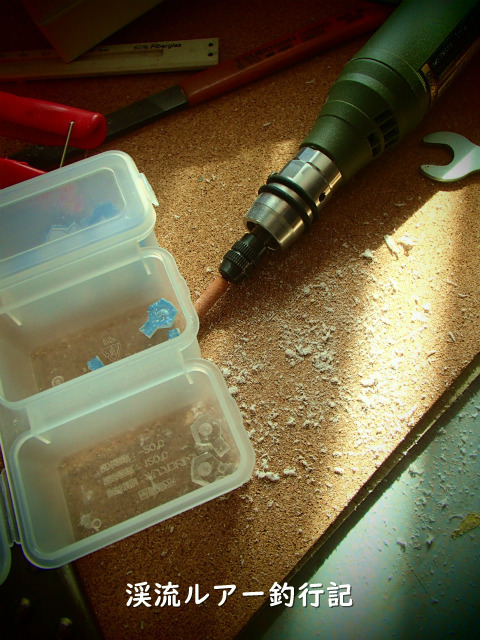 P2240006 (2).jpg