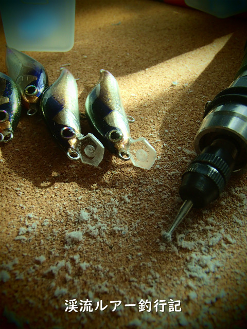 P2240008 (2).jpg