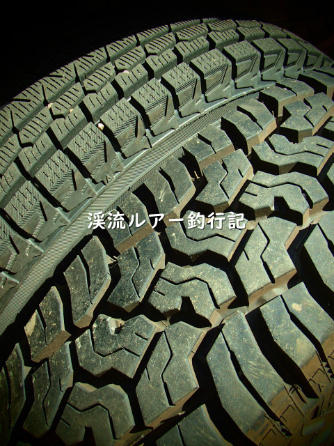 P2280015 (2).jpg