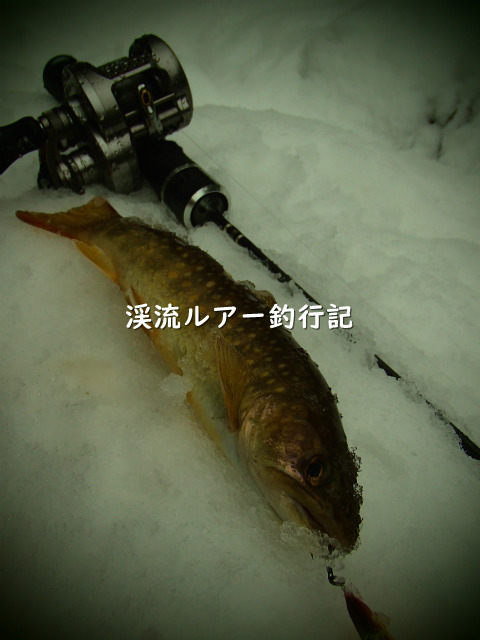 P3050018 (2).jpg