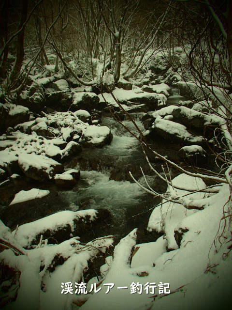 降 雪 渓流ルアー釣行記