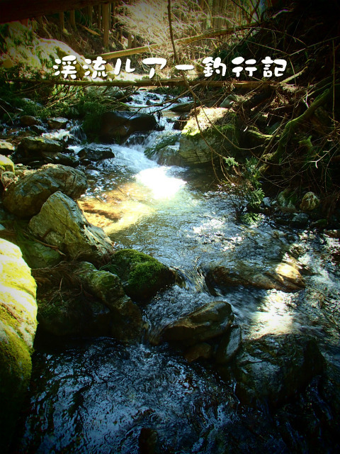 P3120048.jpg