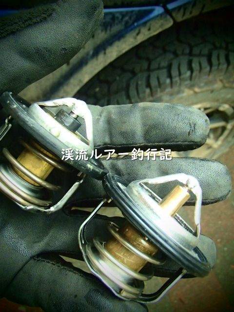 P3130008 (2).jpg