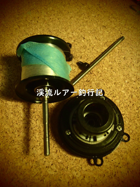 P3150029 (2).jpg