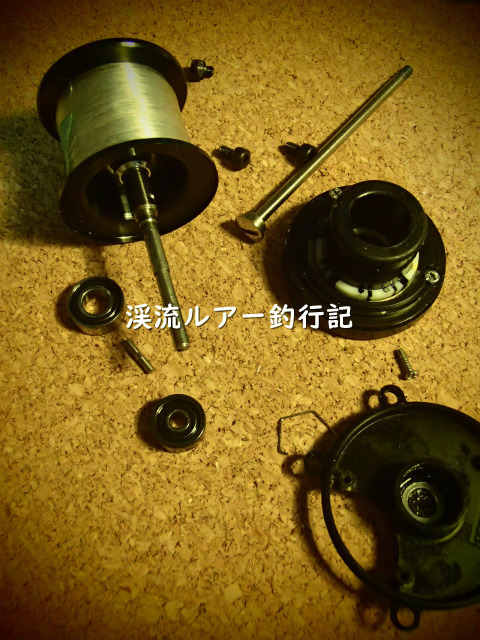 P3150030 (2).jpg