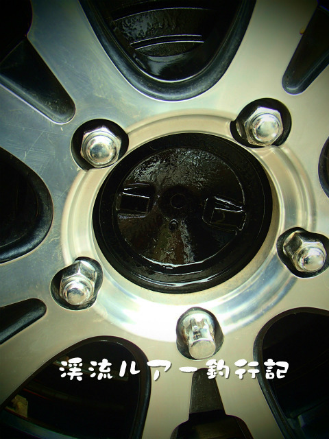 P3180003.jpg