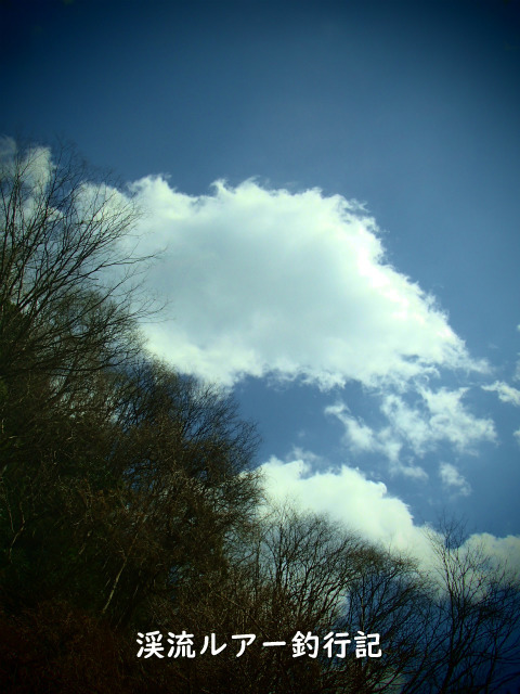 P3200003 (2).jpg