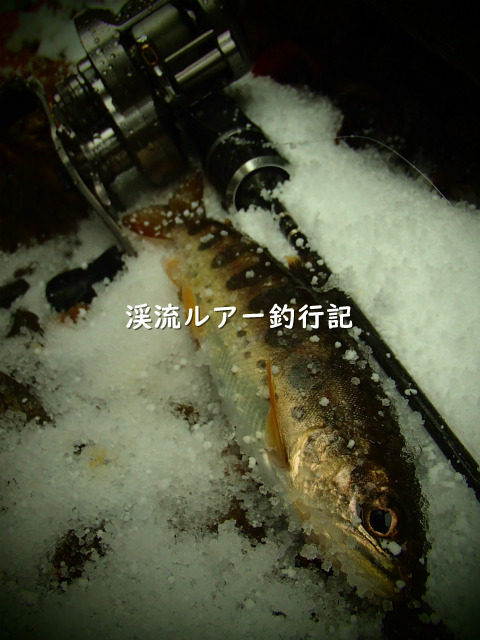P3200018 (2).jpg