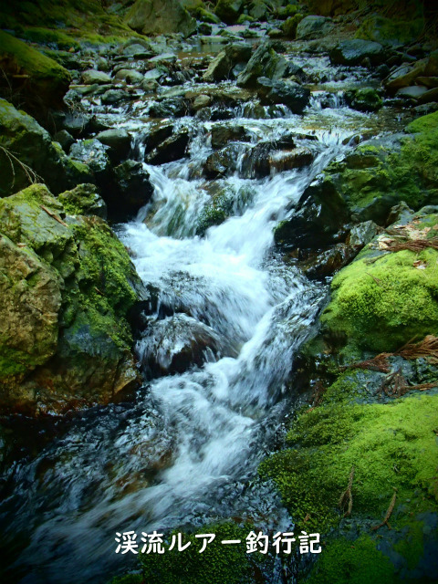 P3250014 (2).jpg