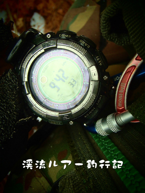 P4030018.jpg