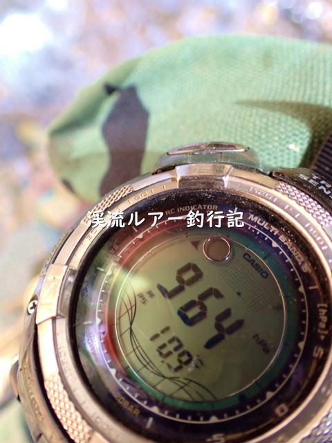 P4050061 (2).jpg