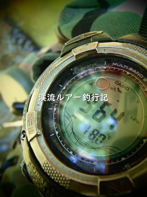 P4070008 (2).jpg