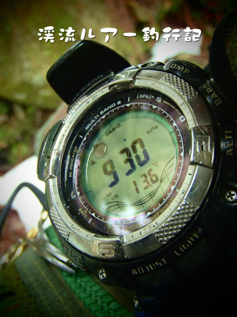 P4070065.jpg