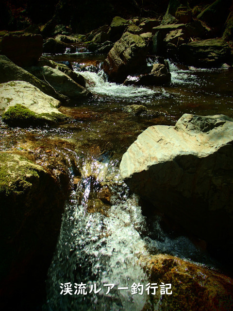 P4080020 (2).jpg