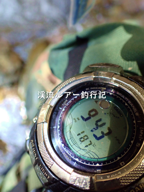 P4120065 (2).jpg