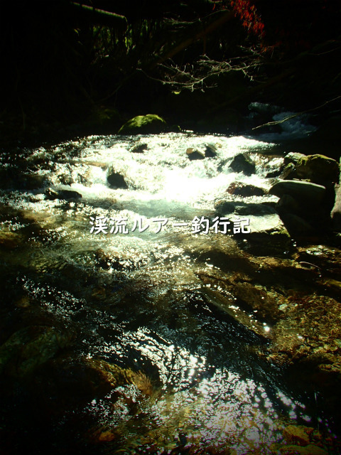 P4140001 (2).jpg