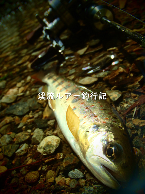 P4140014 (2).jpg