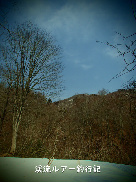 P4150001 (2).jpg
