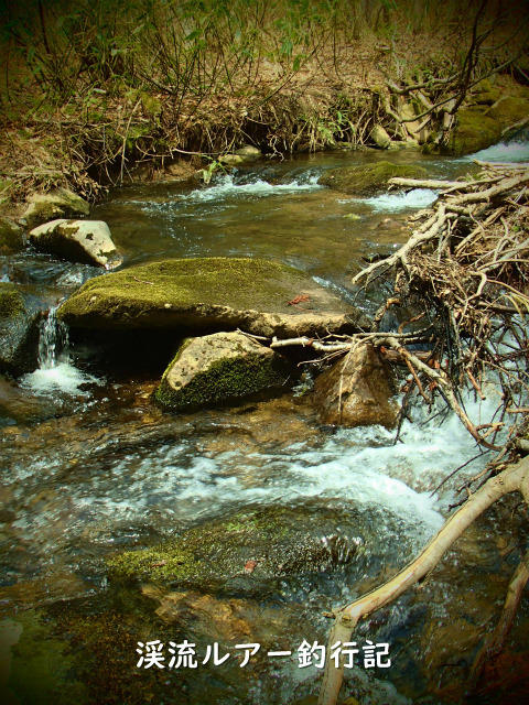 P4150007 (2).jpg