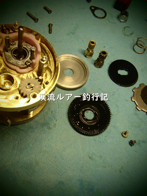 P4160031 (2).jpg