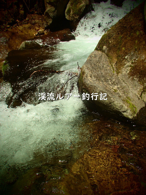 P4170058 (2).jpg