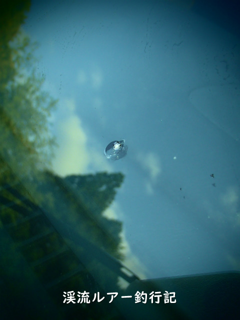 P4180002 (2).jpg