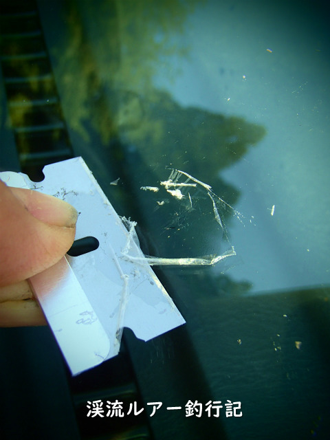 P4180005 (2).jpg
