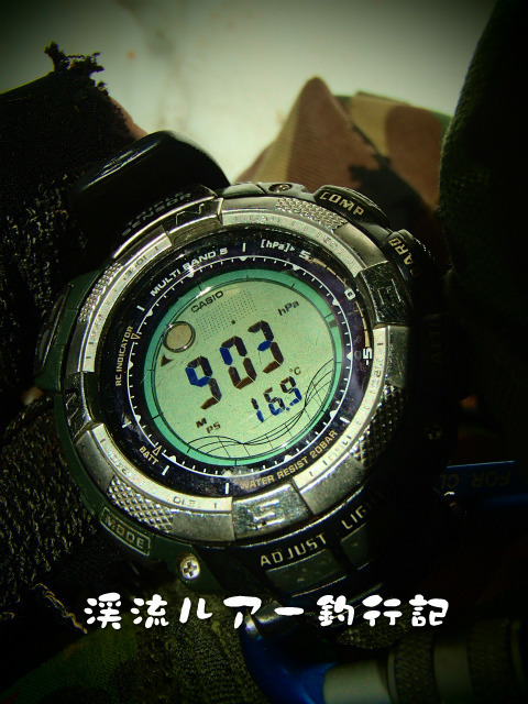 P4180019.jpg