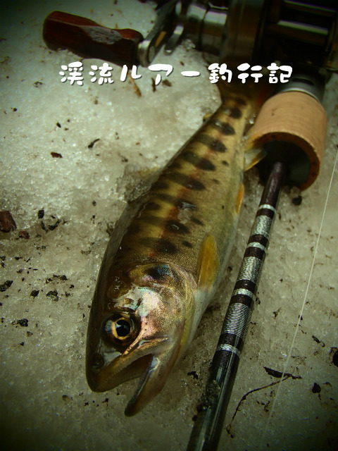 P4180021.jpg