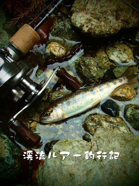 P4180028.jpg