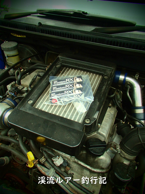 P4190002 (2).jpg