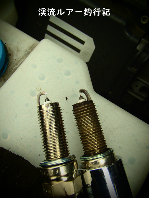 P4190006 (2).jpg