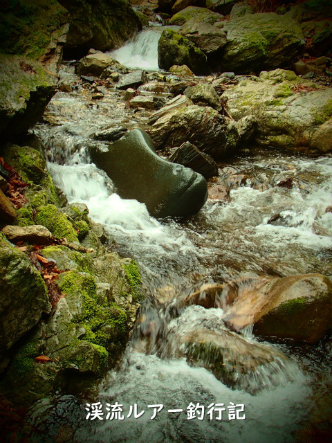 P4190010 (2).jpg