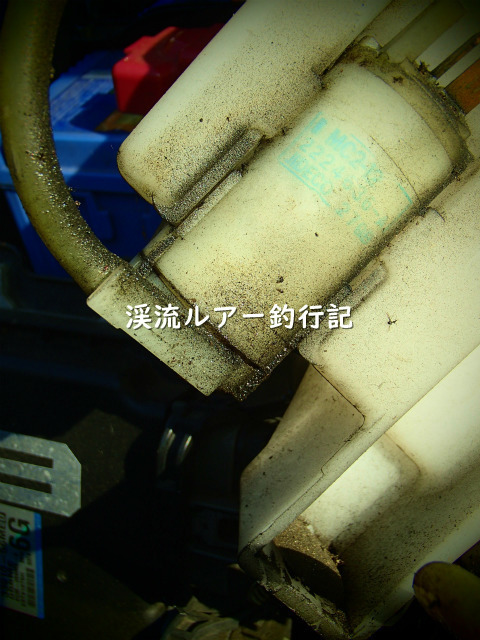 P4200002 (2).jpg