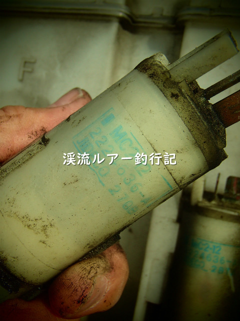 P4200003 (2).jpg