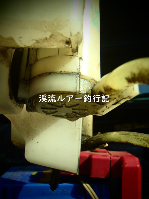 P4200004 (2).jpg