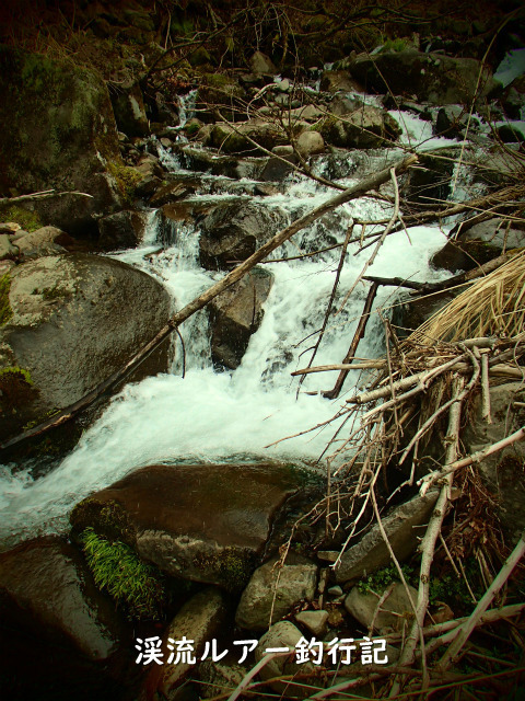 P4220001 (2).jpg