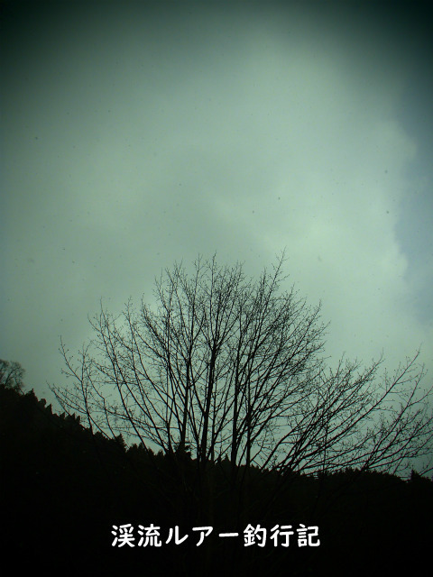 P4220010 (2).jpg