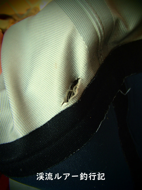 P4260001 (2).jpg
