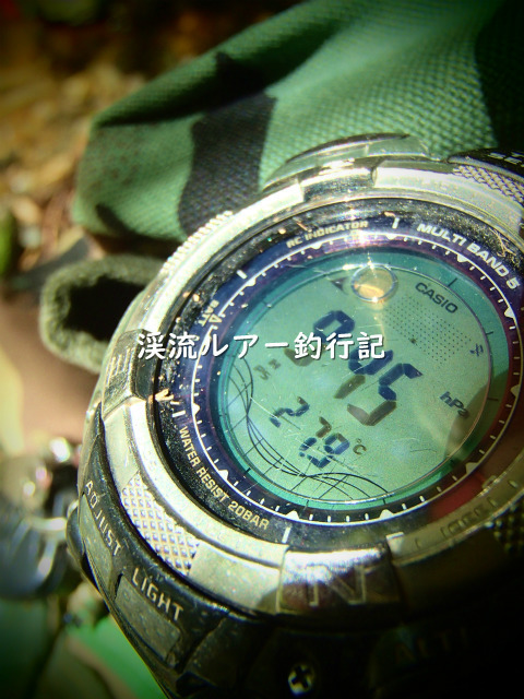 P4280007 (2).jpg