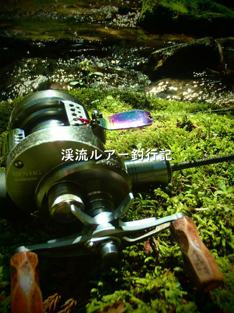 P4280009 (2).jpg