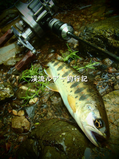 P4300002 (2).jpg