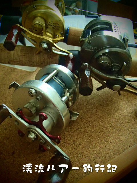 P4300006.jpg